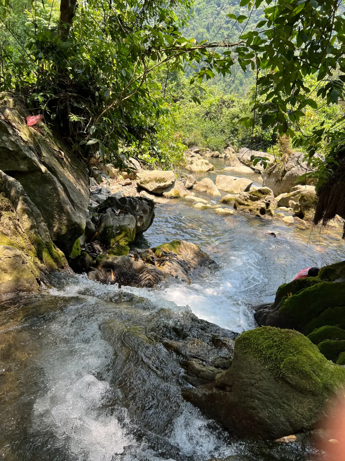 Suối bó Hâng - Vân Sơn