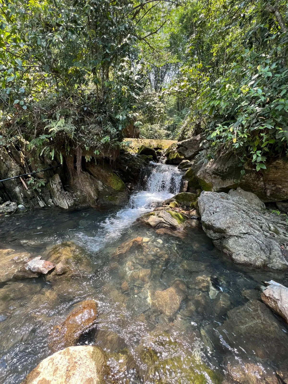 Suối bó Hâng - Vân Sơn
